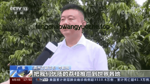 世界市长上海“面对面”：参与交流全攻略